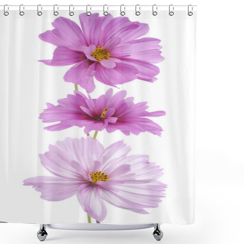 Personality  Cosmos Flower Shower Curtains