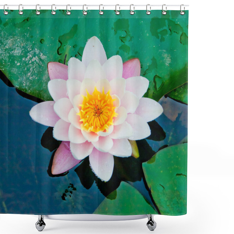 Personality  Lotus Flower In The Water Shower Curtains