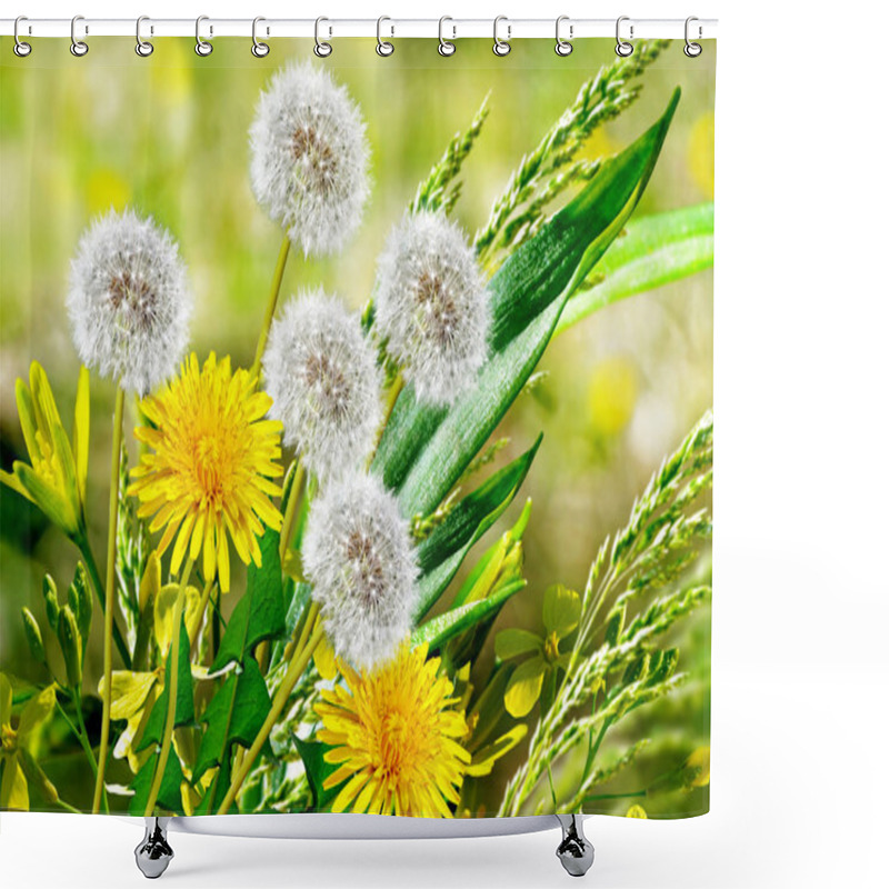 Personality  Summer Landscape. Flowers Dandelions Shower Curtains