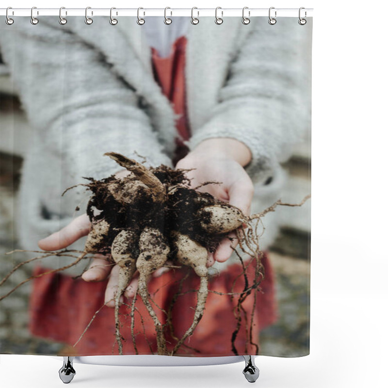 Personality  Hands Handing The Dahlia Tubers Shower Curtains