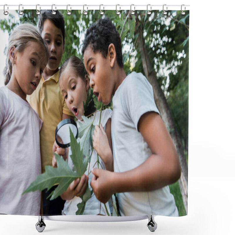 Personality  Shocked Multicultural Children Looking At Green Leaves Though Magnifier  Shower Curtains