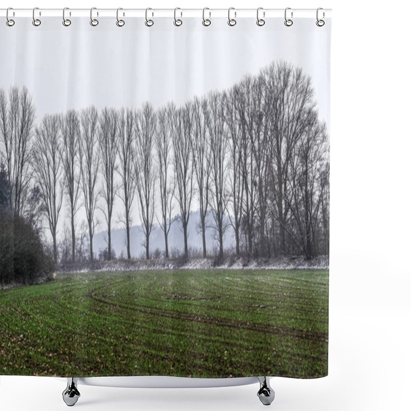 Personality  Winter Landscape Scenic With Green Meadow And Clusters Of High Trees Sprinkled With Snow In Germany Shower Curtains