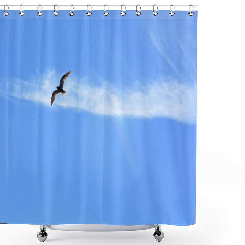 Personality  Blackenning Sea Gull In Blue Sky Shower Curtains