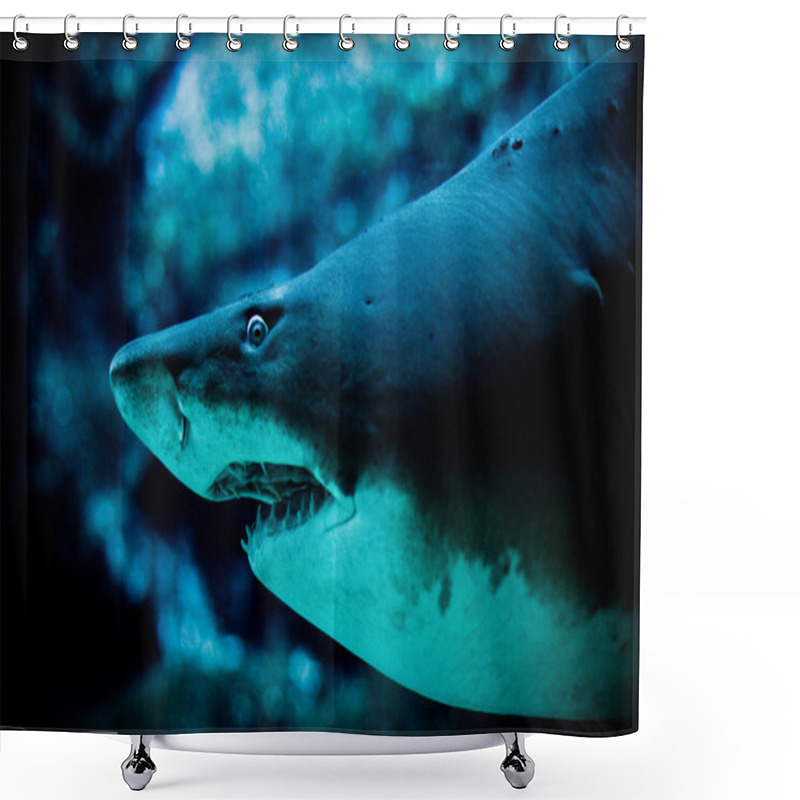 Personality  Shark Shower Curtains