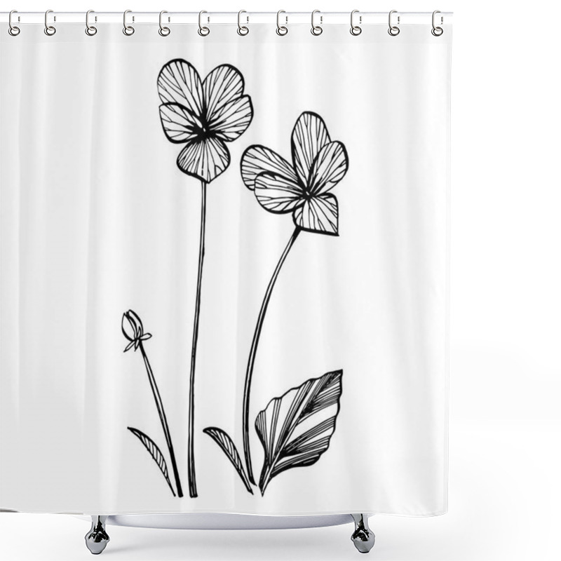 Personality  Pansy Or Daisy Flower. Botanical Illustration. Good For Cosmetics, Medicine, Treating, Aromatherapy, Nursing, Package Design, Field Bouquet. Hand Drawn Wild Hay Flowers Shower Curtains