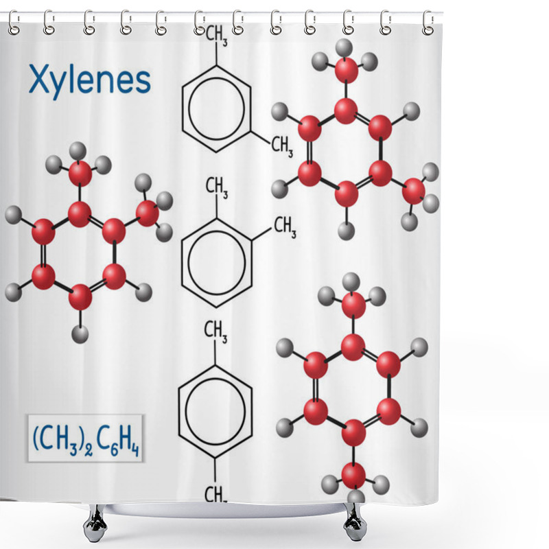 Personality  Meta , Ortho,  Para  Xylene Isomers. Structural Chemical Formula And Model. Vector Illustration Shower Curtains