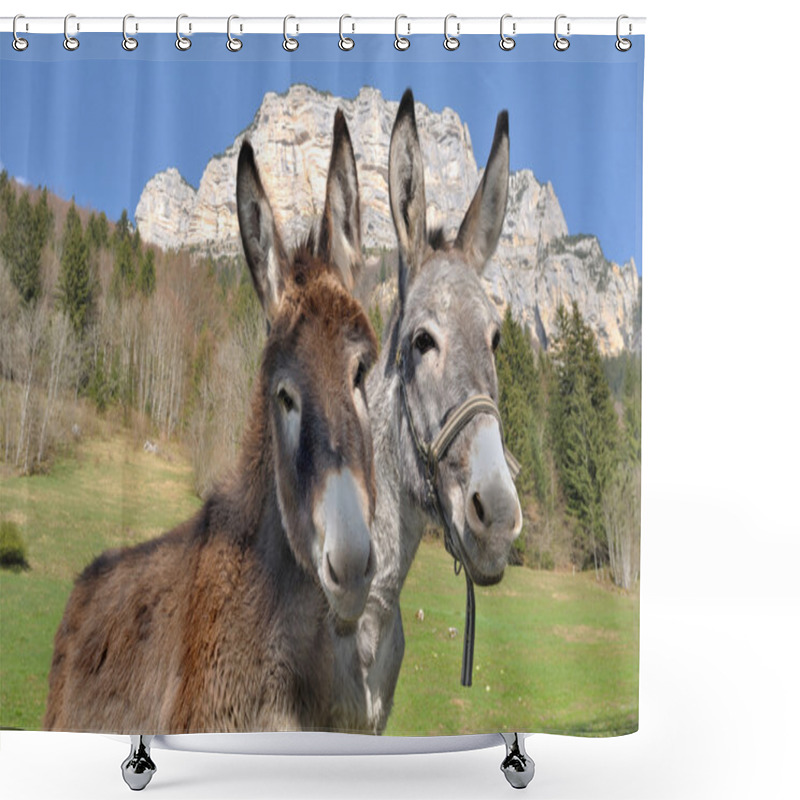 Personality  Portrait Of Two Cute Donkeys Shower Curtains