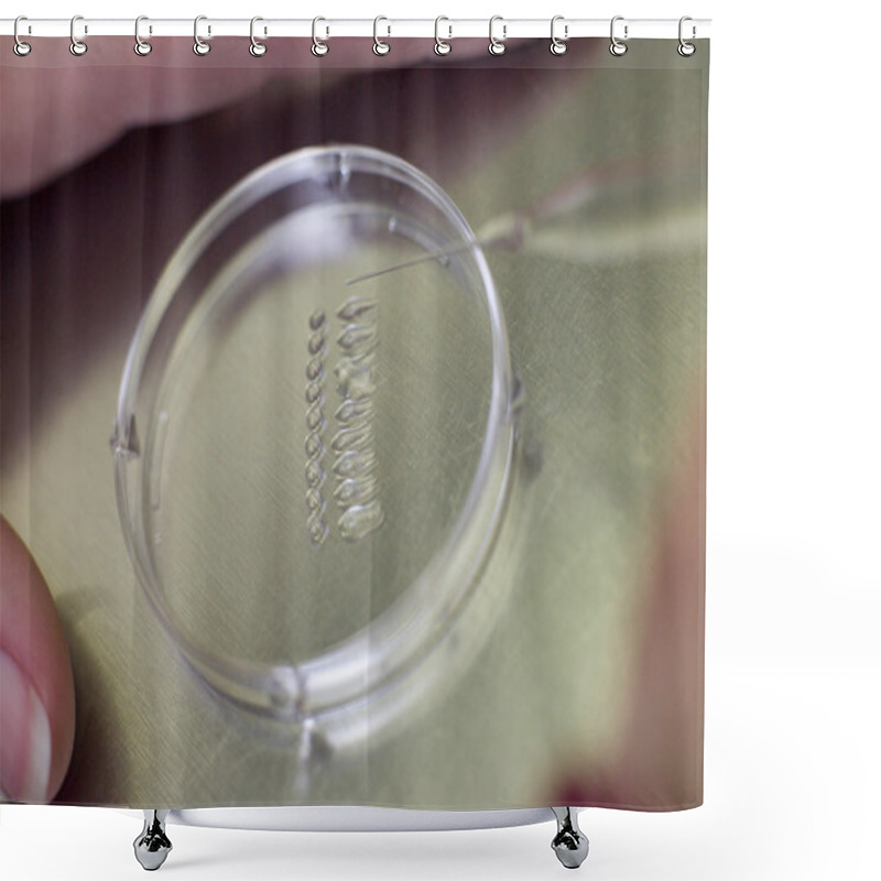 Personality  Embryologist With Egg And Sperm In Culture Shower Curtains