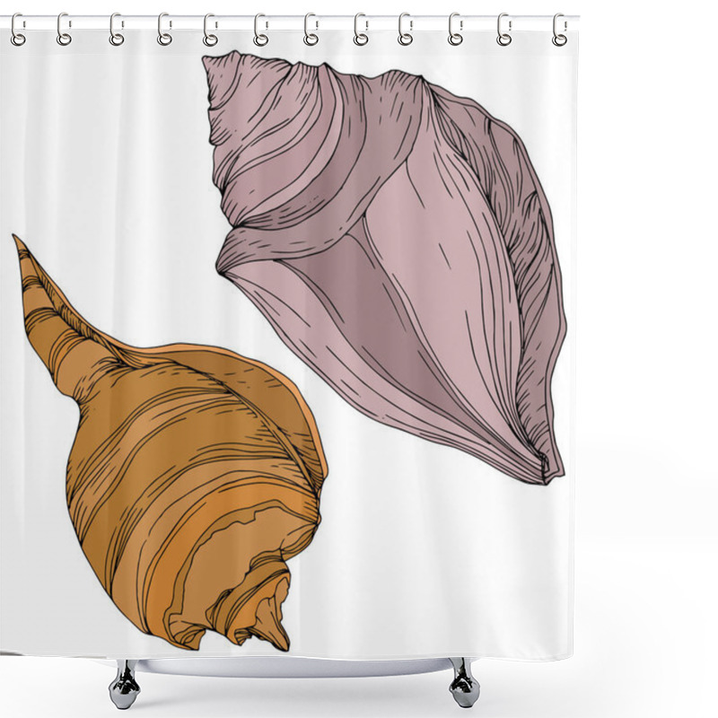 Personality  Summer Beach Seashell Tropical Elements. Black And White Engraved Ink Art. Isolated Shells Illustration Element. Shower Curtains