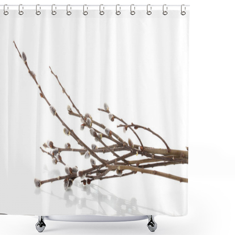 Personality  Pussy Willow Twigs Isolated On White Shower Curtains