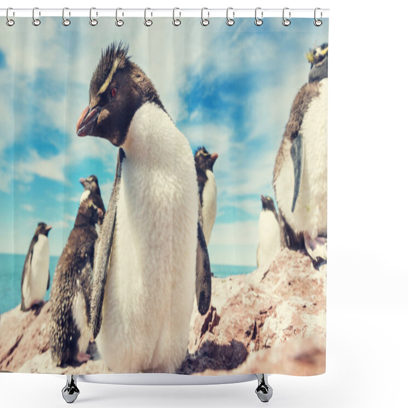 Personality  Penguins In Southern Argentina Shower Curtains