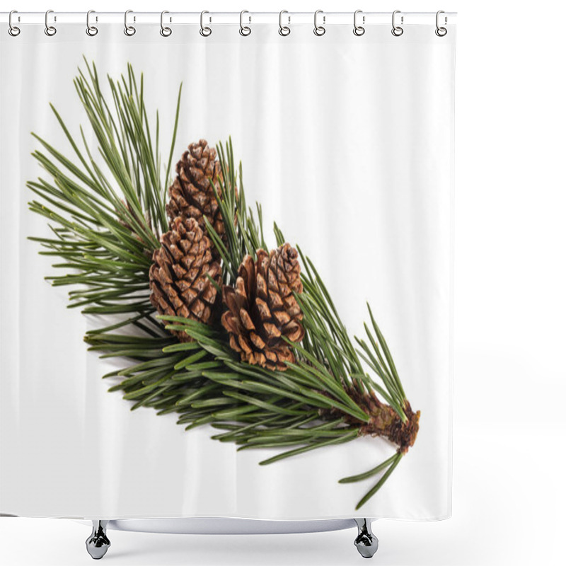 Personality  Mugo Pine  Shower Curtains