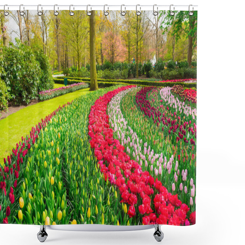 Personality  Rows Of Tulip Flowers Shower Curtains