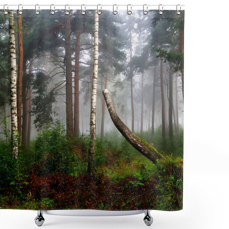 Personality  A North Forest In Fog. Latvia Shower Curtains