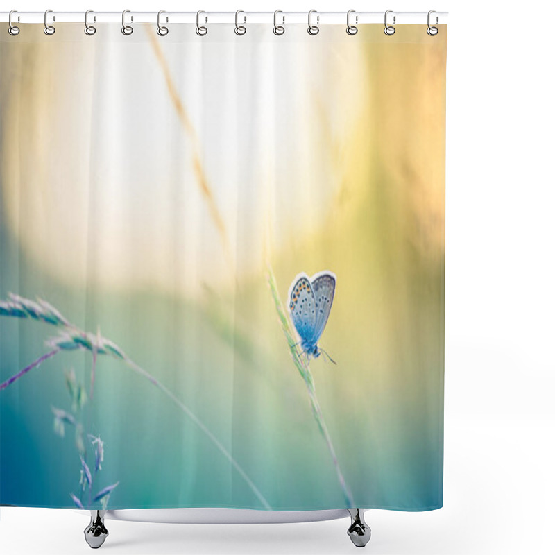 Personality  Nature Background Concept. Beautiful Summer Meadow Background. Inspirational Nature Closeup. Beautiful Fresh Spring Grass Meadow Morning On Nature And Perfect Butterfly On Soft Green Background, Macro.  Shower Curtains