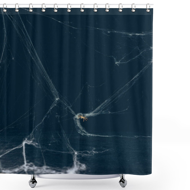 Personality  Scary Halloween Background With White Web And Spider Shower Curtains