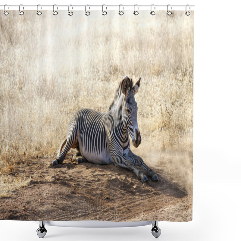 Personality  Cute Zebra In Wild Nature At Daytime  Shower Curtains