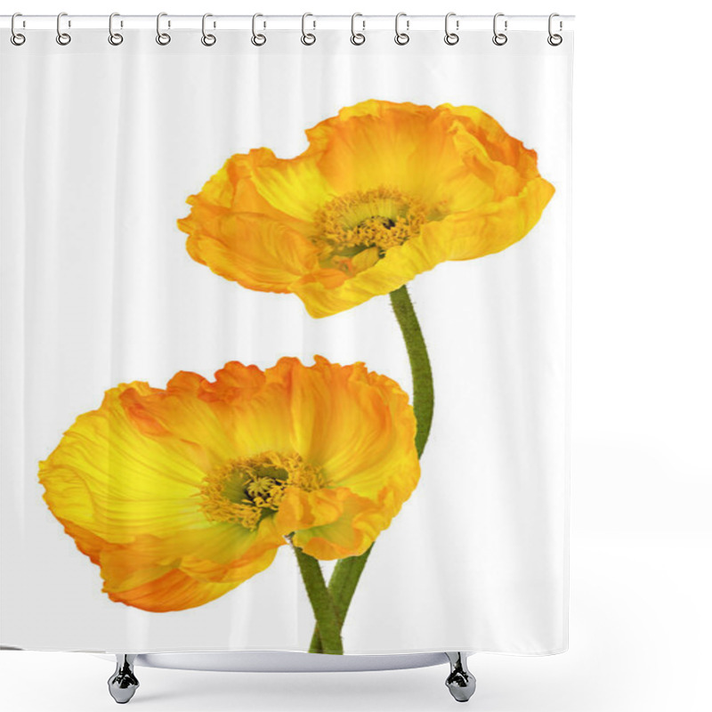 Personality  Close-up View Of Beautiful Wild Poppy Flowers Shower Curtains