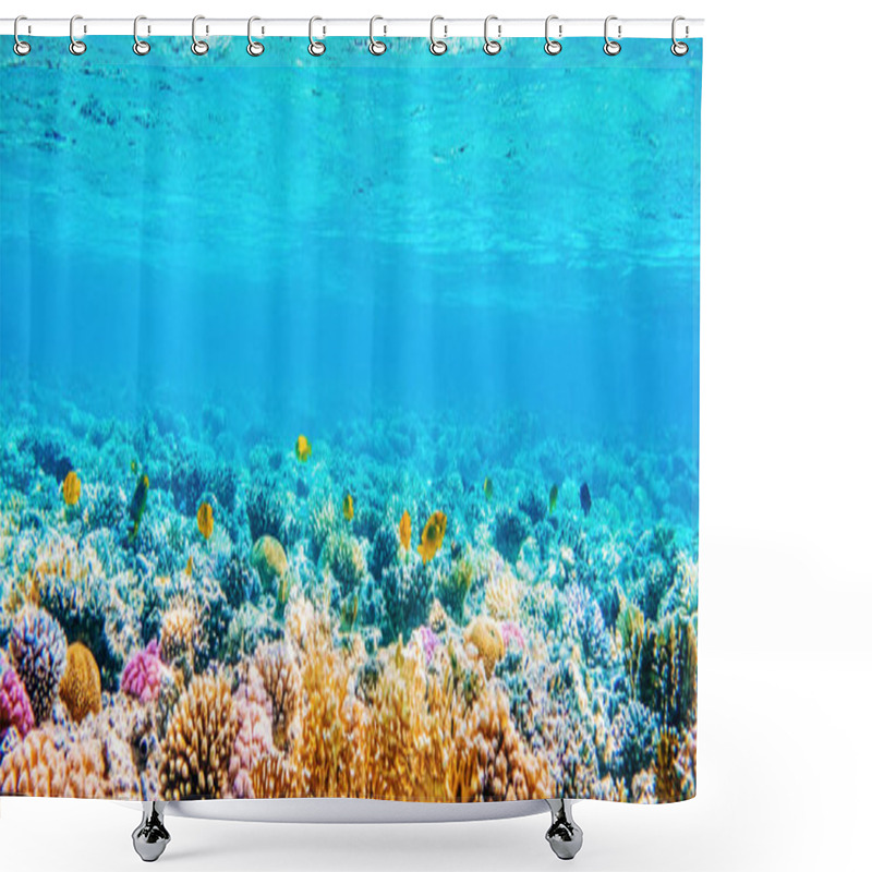 Personality  Seascape With Tropical Fish And Coral Reefs Shower Curtains