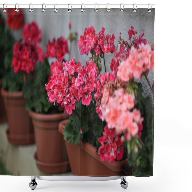 Personality  Geranium In Pots Shower Curtains