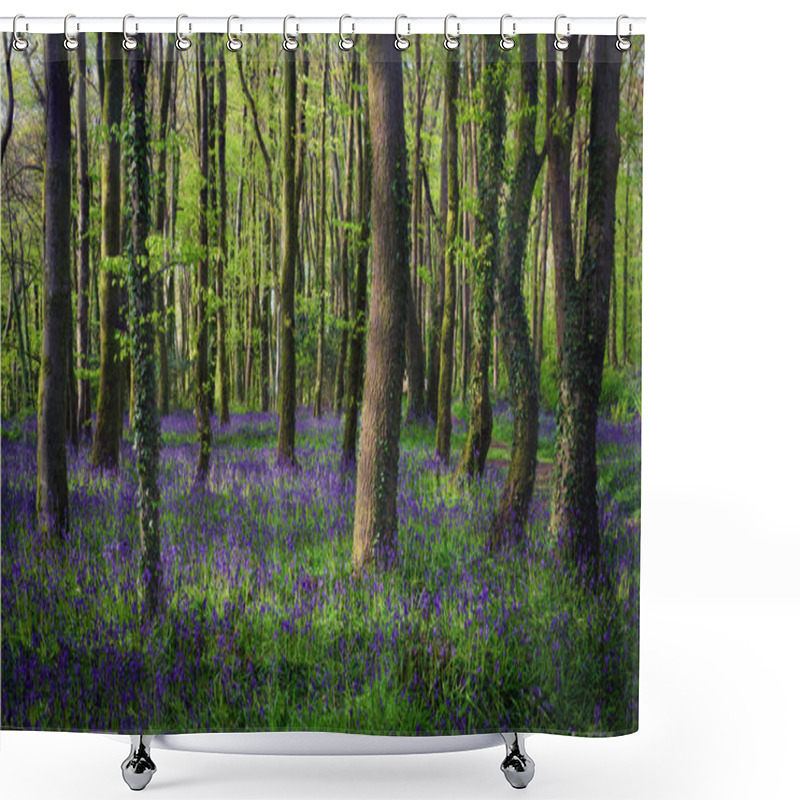 Personality  Bluebell Wood Cornwall England Uk  Shower Curtains