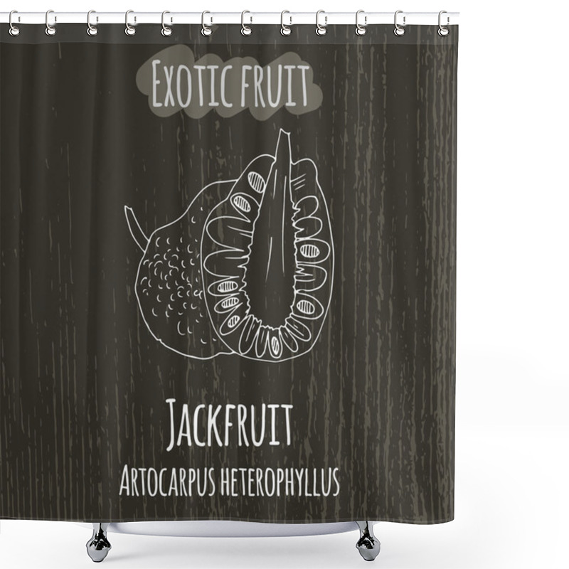 Personality  Hand Drawing Illustration Of Jackfruit. Artocarpus Heterophyllus Shower Curtains