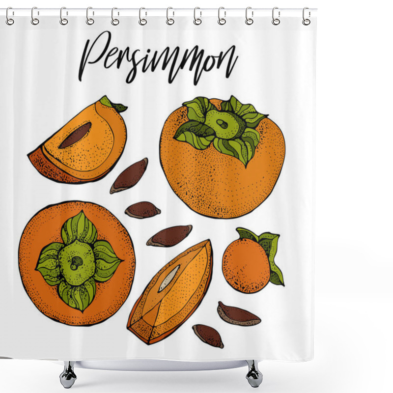 Personality  Persimmon Vector Drawing Set. Isolated Hand Drawn Object With Persimmon Sliced Piece And Seeds. Fruit Sketch Style Illustration. Detailed Vegetarian Food Sketch.  Shower Curtains