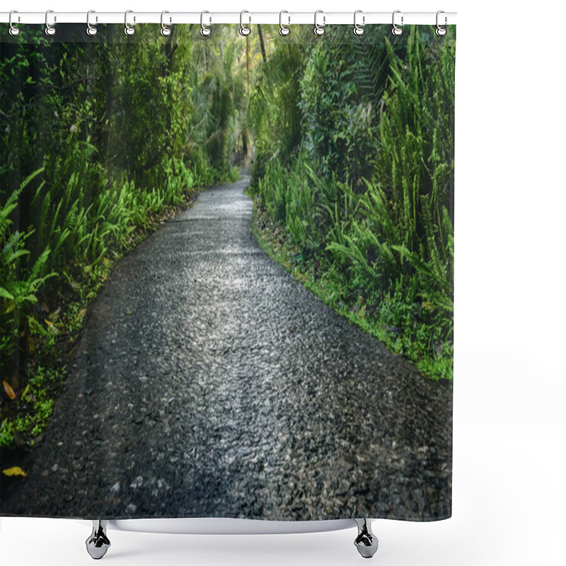 Personality  A Path With Trees On The Side Of A River Shower Curtains