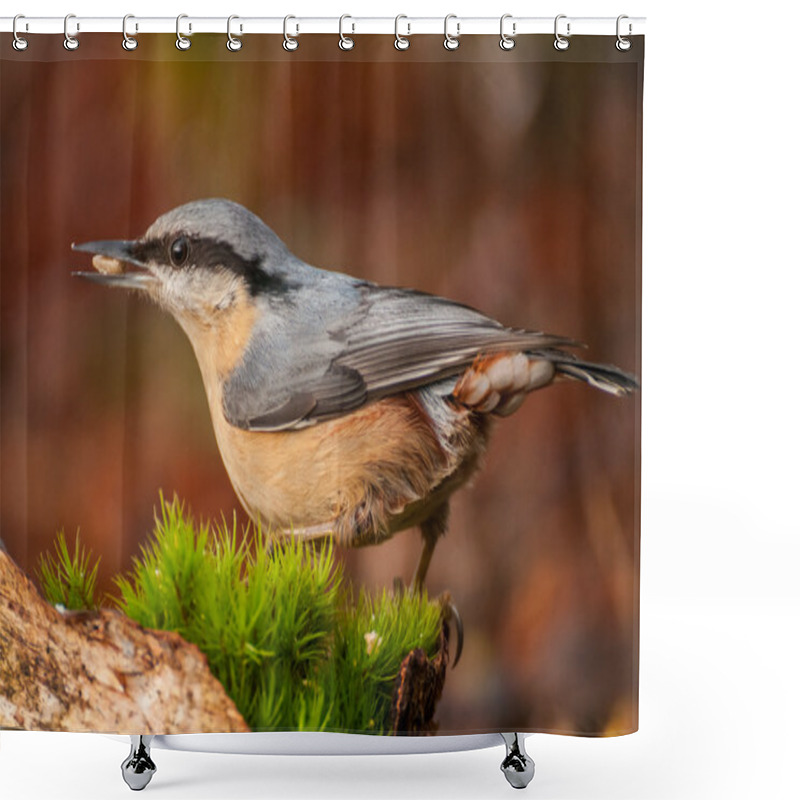 Personality  Nuthatch Shower Curtains