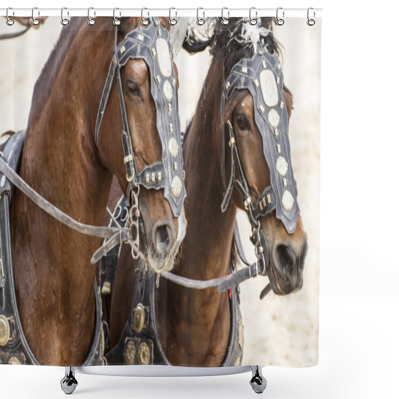 Personality  Roman Chariot In A Fight Of Gladiators Shower Curtains