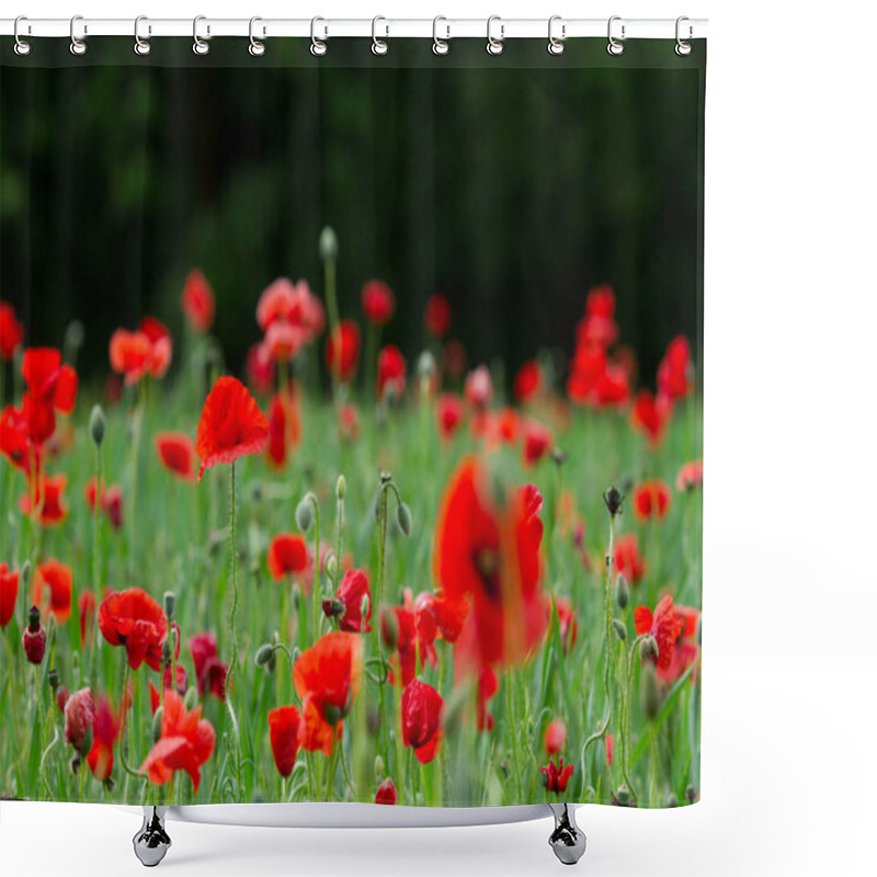 Personality  Beautiful Red Poppies Shower Curtains