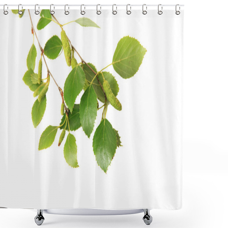 Personality  Green Birch Leaves Isolated On White Shower Curtains