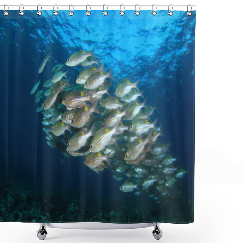 Personality  Marine Inhabitants With Underwater Scene In Deep Blue Ocean Shower Curtains