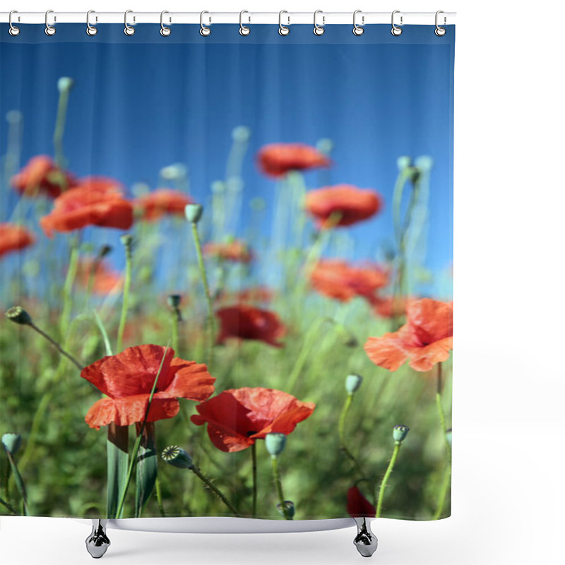 Personality  Summer Field Of Red Flowers Shower Curtains