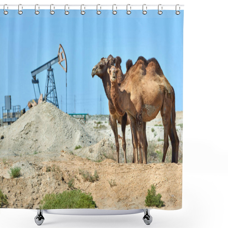 Personality  Camels Standing In Front Of The Oil Pump. Environmental Protection Concept.  World Oil Industry.  Mangistau Region. Kazakhstan. Shower Curtains