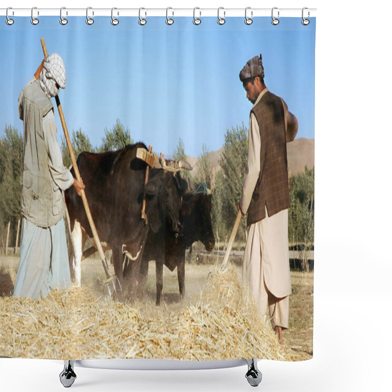 Personality  Bamyan (Bamiyan) In Central Afghanistan. Farmers Working With Oxen While Threshing On A Farm In Bamyan (Bamiyan). Local Farmers, Farm, Cattle, Threshing, Bamyan (Bamiyan) Afghanistan. Shower Curtains