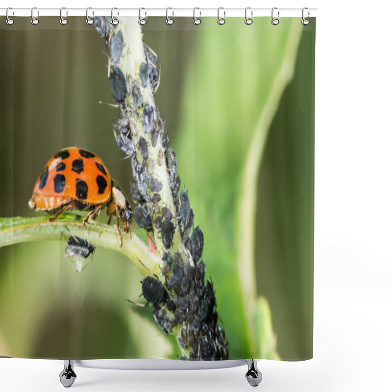 Personality  Biological Pest Control Shower Curtains