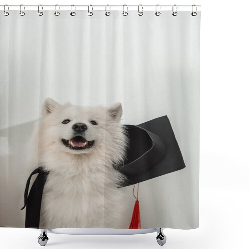 Personality  Dog In Graduation Hat Shower Curtains