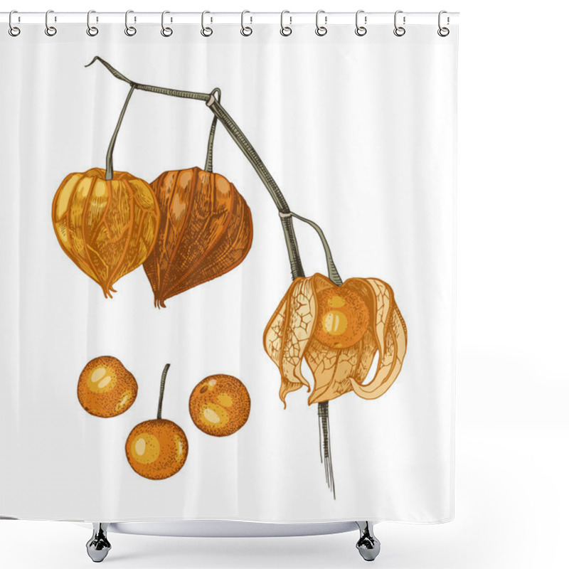 Personality  Hand Drawn Physalis Plant Isolated On White Background. Shower Curtains