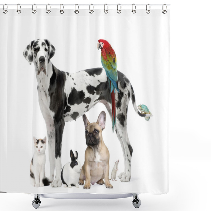 Personality  Group Of Pets - Dog,cat, Bird, Reptile, Rabbit Shower Curtains