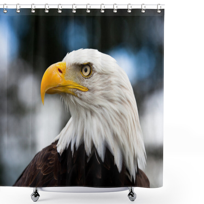 Personality  Eagle Close-up Shower Curtains