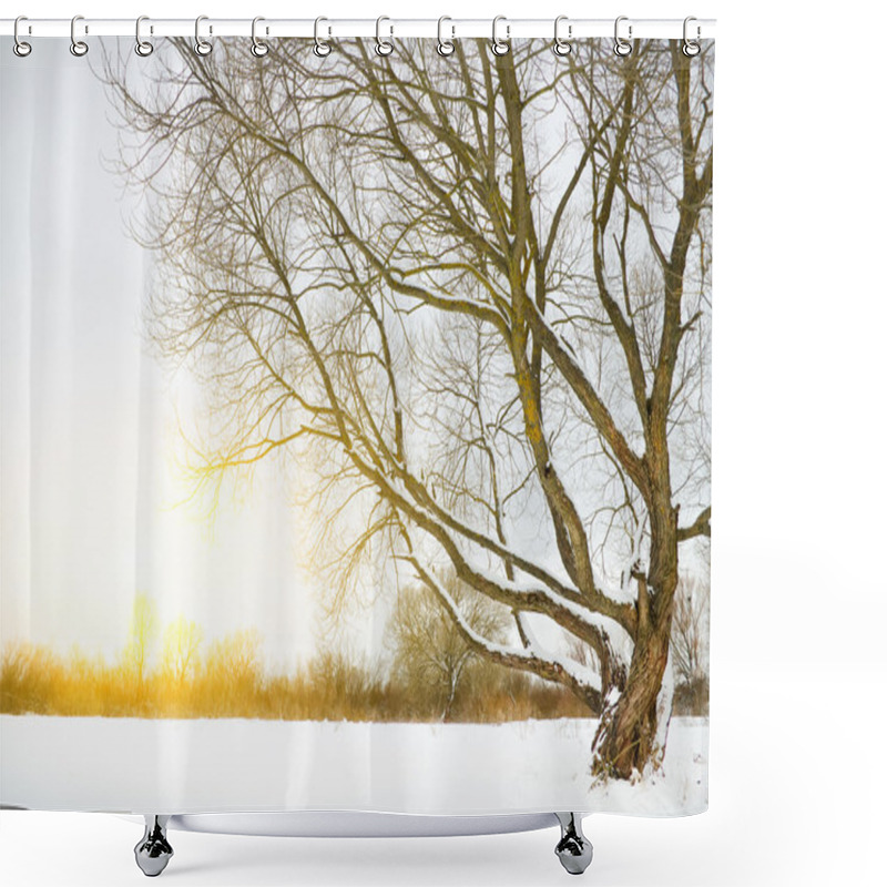 Personality  Winter Season Shower Curtains