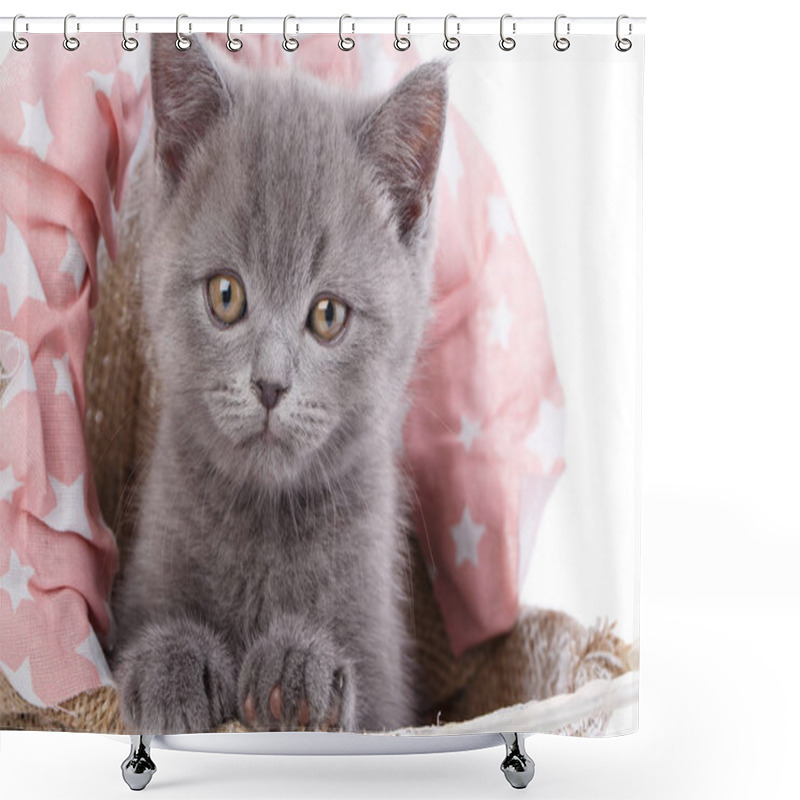 Personality  Scottish Straight Kitten. Isolated On A White Background. Funny, Furry Kitten Look Closely Shower Curtains