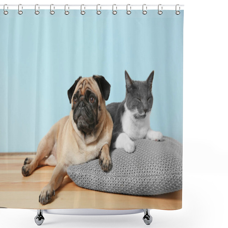 Personality  Pug And Cute Cat Shower Curtains