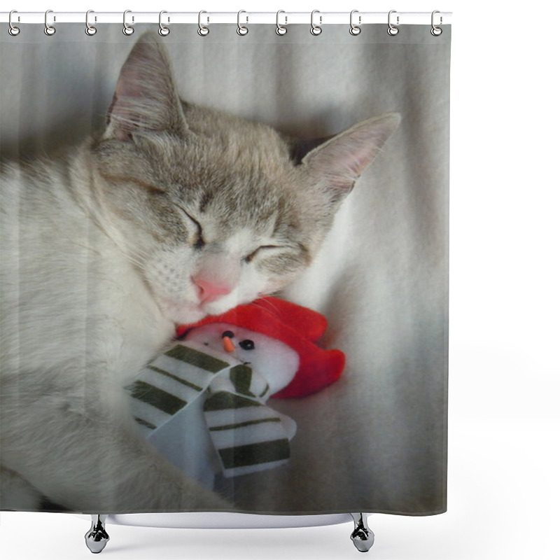 Personality  Young Cat Cuddling With Snowman Toy Shower Curtains