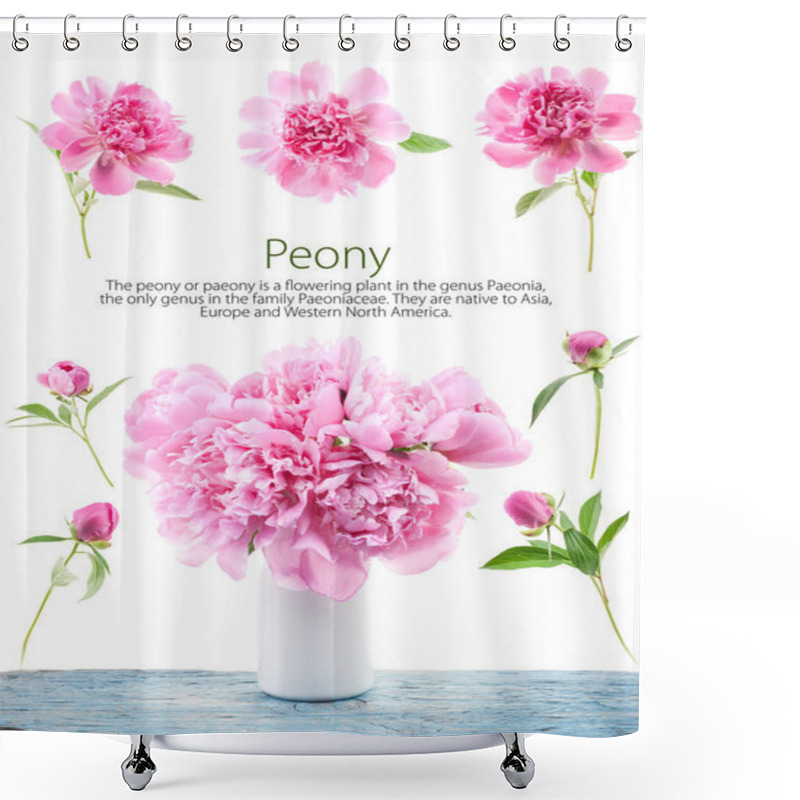 Personality  Peony Flowers In White Vase Isolated On White Shower Curtains