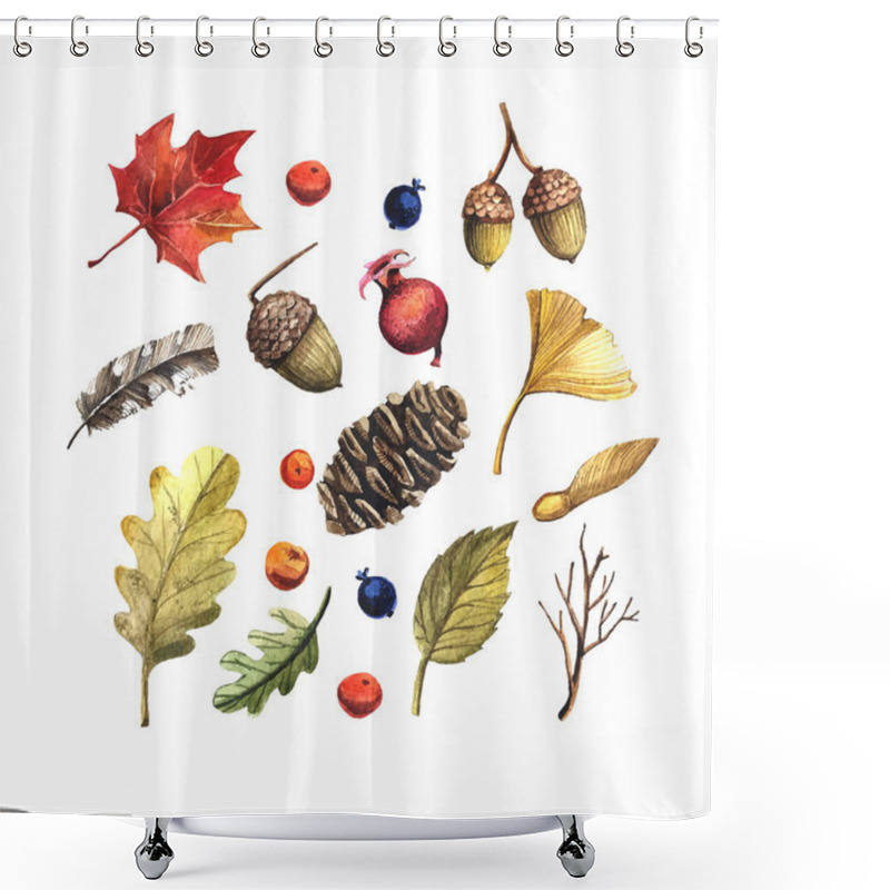 Personality  Leaves, Pine Cones, Acorns And Berries Shower Curtains