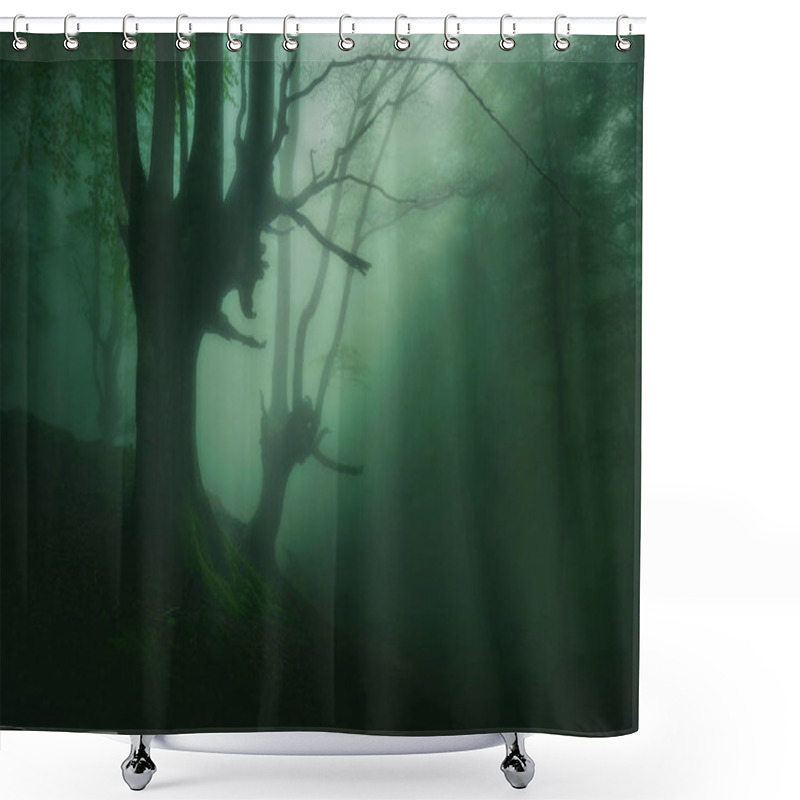 Personality  Mysterious Foggy Forest With Beautiful Shunshine Shower Curtains