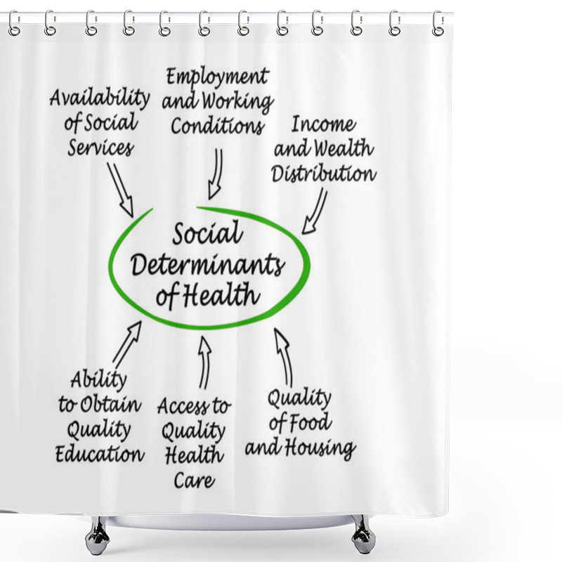 Personality  Diagram Of Social Determinants Of Health Shower Curtains