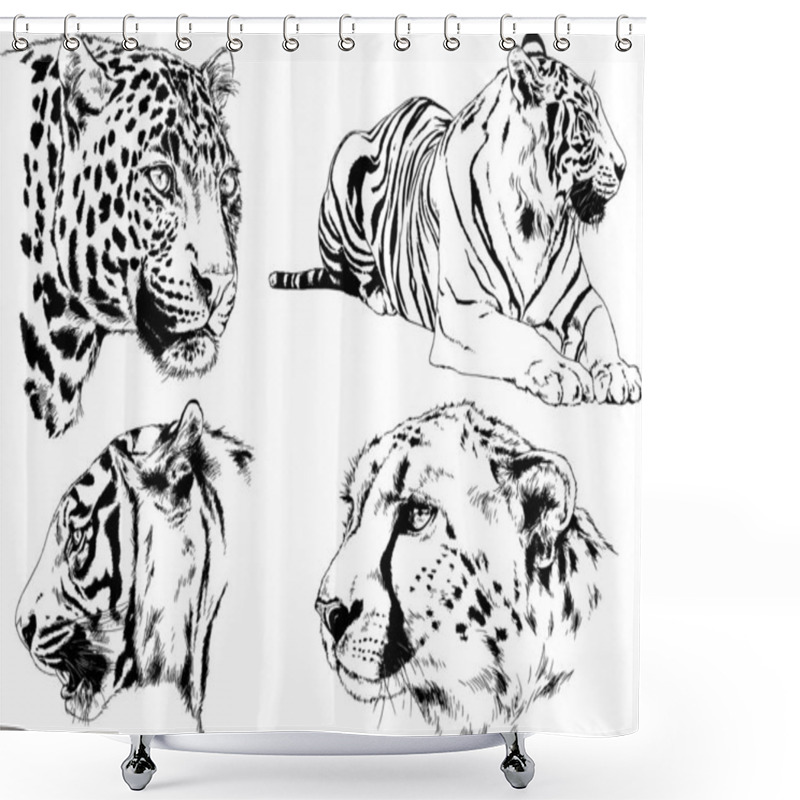 Personality  Set Of Vector Drawings On The Theme Of Predators Tigers Are Drawn By Hand With Ink Tattoo Logos Shower Curtains